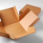 Kapaklı Nakliye Kutusu