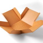 Kapaklı Nakliye Kutusu