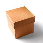 Kapaklı Nakliye Kutusu