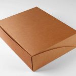 Premium Posta Kutusu