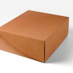 Premium Posta Kutusu